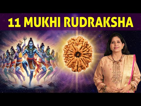 11 Mukhi Rudraksha | Best Rudraksha for Wisdom & Creativity | Eleven Mukhi Rudraksha