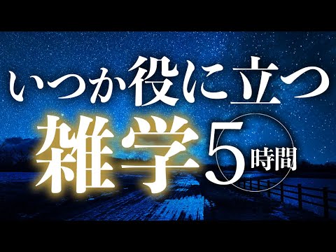 【睡眠導入】いつか役に立つ雑学5時間【合成音声】