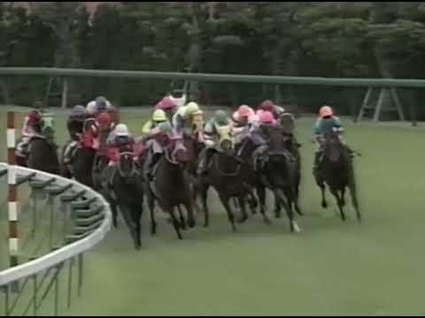 ヤマニンゼファー 1992年 第6回セントウルステークス(GIII) (優勝馬：マイスーパーマン)(実況：ラジオたんぱ)