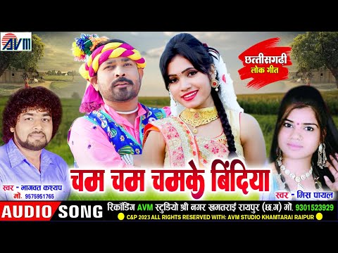 Bhagwat Kashyap | Miss Payal | Cg Song | Cham Cham Chamke Bindiya | New Chhattisgarhi Gana |AVMTADKA