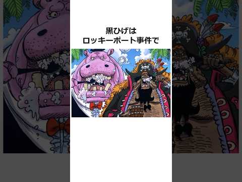 黒ひげに関する雑学【ワンピース】#shorts #onepiece #雑学