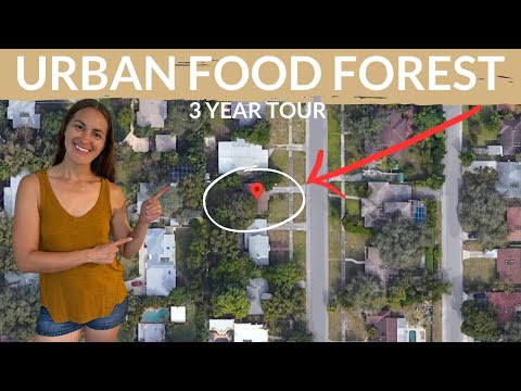 How She Created a Food Forest in 3 Years on 1/8 an Acre (Garden Tour)