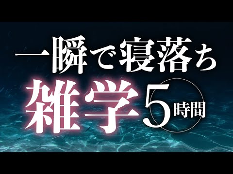 【睡眠導入】一瞬で寝落ち雑学5時間【合成音声】