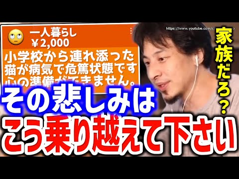 【ひろゆき】※あなたの猫はいずれ死にます※大切な家族を失う最期はこう向き合って下さい。飼い猫の死に向き合うマインドセットについてひろゆき【切り抜き／論破／犬／ペット】