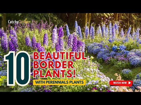 10 BEST PERENNIALS for BEAUTIFUL BORDER PLANTS! 🌻🌸🌿🌼 // Gardening Ideas