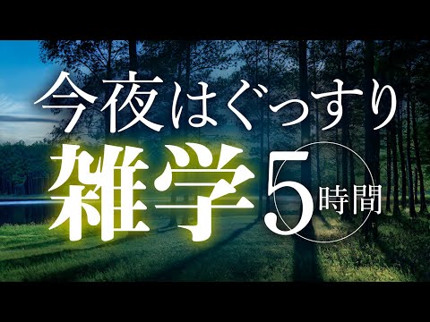 【睡眠導入】今夜はぐっすり雑学5時間【合成音声】