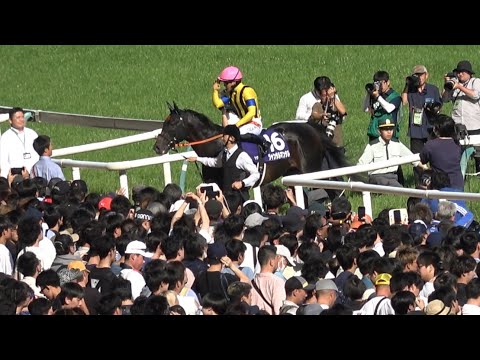 ウイニングランもクールにキメる川田将雅 ジャンタルマンタル【NHKマイルカップ 現地】