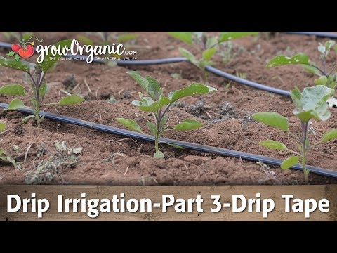 Drip Irrigation-Part 3-Using Drip Tape