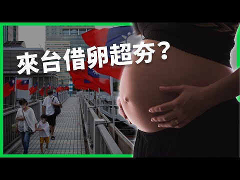 借卵求子首選？ 為什麼日本夫妻多來「來台借卵」？日本借卵之路有多難？ 【TODAY 看世界】