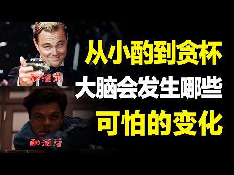 酒精真相：没有适量，每一滴都有害！酒精是如何伤害我们的大脑的