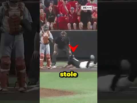 The pitcher let him STEAL HOME.. 😂