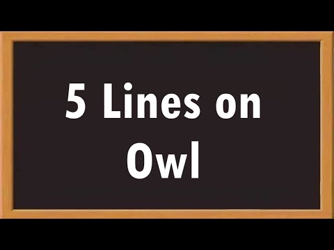 Owl 5 Lines Essay in English || Essay Writing