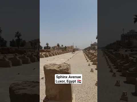 Sphinx Avenue - Luxor, Egypt EG #shorts #egypt #sphinx