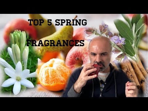 Top 5 SPRING Fragrances| My favourite fragrances for Spring 2024 (Part 1)