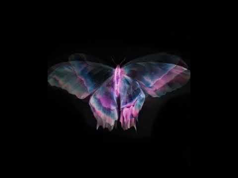 Pierre Bourne x Playboi Carti x Unotheactivist Type Beat - "Butterflies" (prod.paranormie x elou)