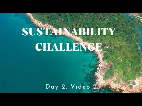 Day 2, Video 2: The Carbon Calculation Conundrum