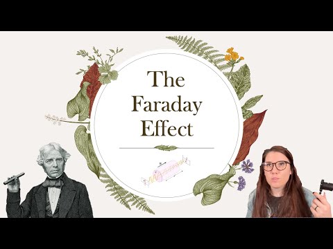 the faraday effect