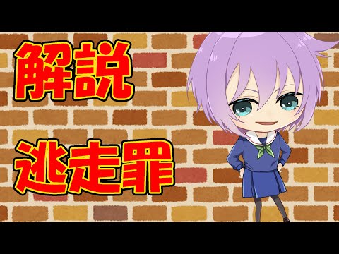 【０から学ぶ刑法】逃走罪【解説動画】