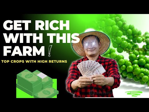 Top 10 High Demand Farming Businesses for Beginners | Farming Ideas