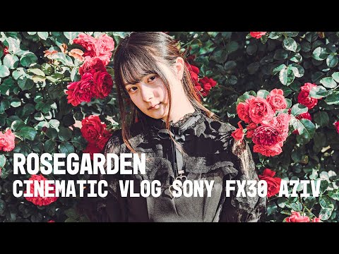 ROSE GARDEN CINEMATIC VLOG Shot on FX30/A7IV