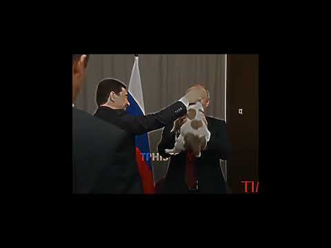 putin is fond of dogs 🐶