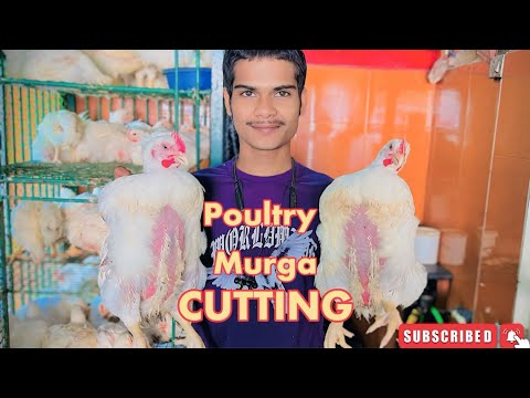 Chicken Cleaning and Cutting Techniques Live | Big मुर्गा Cutting | chicken cutting skills |