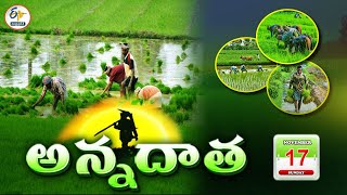 అన్నదాత | 17th November 2024 | Annadata | Full Bulletin | ETV Andhra Pradesh