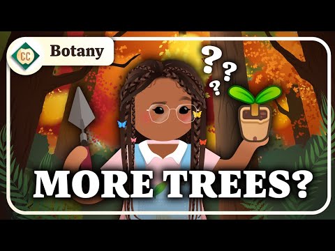 Can Planting Trees Fix Climate Change? (Plants & Biomes): Crash Course Botany #14