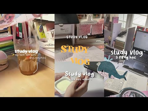 #11 #xh #tiktok #studyvlog ◞ 🕊️ ೕ Tổng hợp các video study vlog trên tiktok ◞ ✧