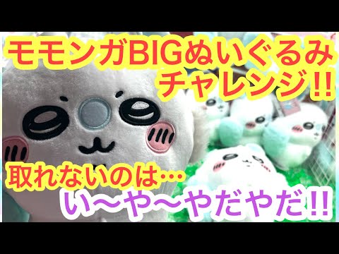 【ちいかわ】モモンガおしりふりふりBIGぬいぐるみ！！ちいかわモモンガはもうこれで取るしかない！！