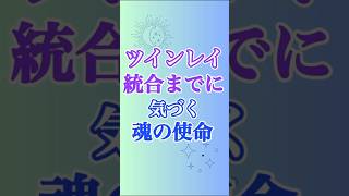 【ツインレイ】ライトワーク・魂の使命ってこういうこと😇　#ツインレイ #ツインレイ統合 #サイレント