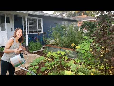 How I Grow Food For a Living (And I'm Not a Farmer)