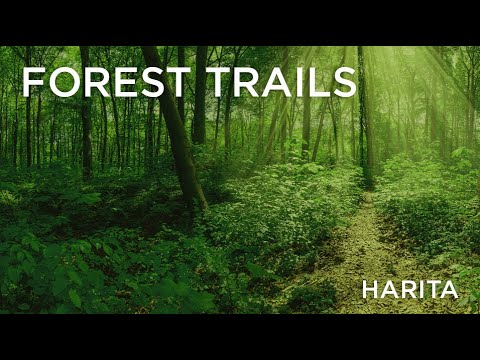 Rohan Harita Forest Trail