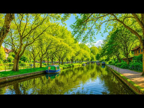 Beautiful Relaxing Music - Stop Overthinking, Stress Relief Music, Sleep Music, Calming Music #267