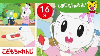 【16分アニメ】わたしはおいしゃさん！ お熱をはかります♪ | ごっこ遊び | しまじろうのわお！アニメ | しまじろうチャンネル公式