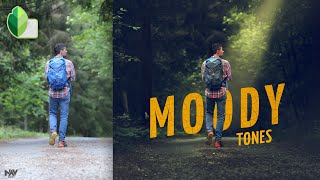 Create MOODY TONES with DRAMATIC Background in Snapseed App | Android | iOS