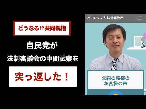 自民党法務部会が法制審議会に突っ返した‼︎【弁護士が解説】どうなる？共同親権