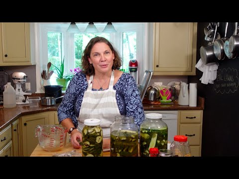 EASY Refrigerator Dill Pickles!!