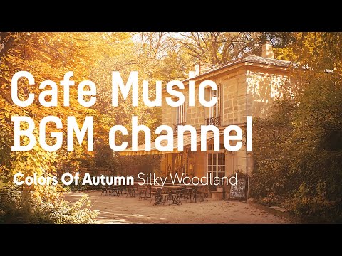 Cafe Music BGM channel - Silky Woodand (Official Music Video)