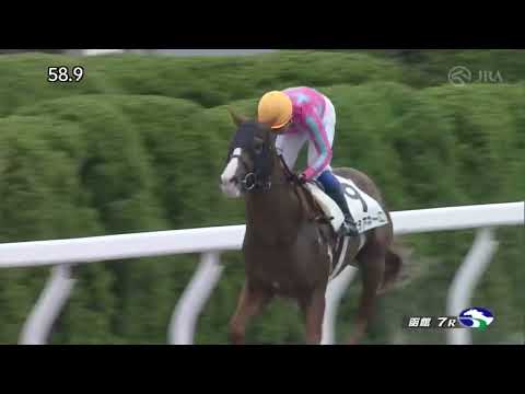 #6.7  1日1000円ギャンブル【競輪・競馬】　大金の時に当たらないのがギャンブル！