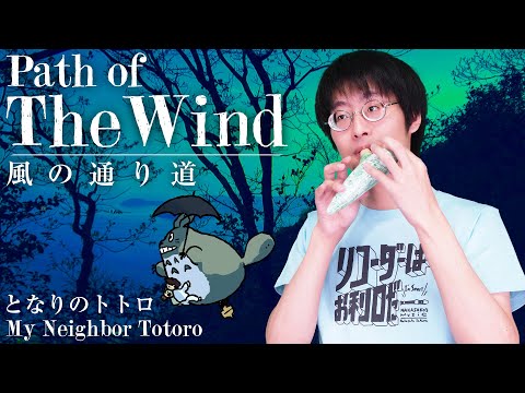 Path of the wind - My Neighbor Totoro - 風の通り道 【となりのトトロ】