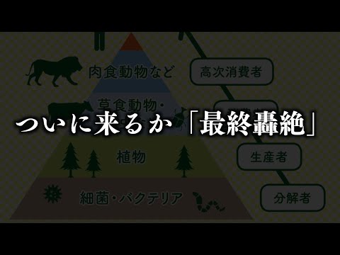 【※生配信】最終轟絶の発表あるか..！？モンストニュースを見るぞ