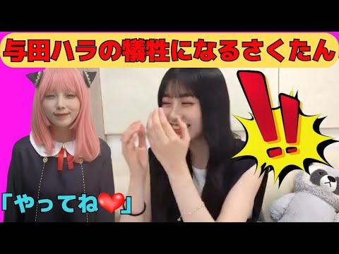 【川﨑桜】与田ハラの犠牲になるさくたん/文字起こし（乃木坂46・のぎおび）