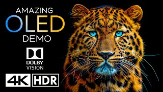 World's Amazing HDR 4K 60fps Dolby Vision (4K Video)