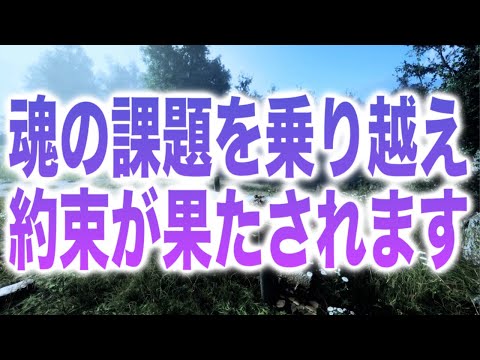 「魂の課題を乗り越えついに約束が果たされます」(a0264)