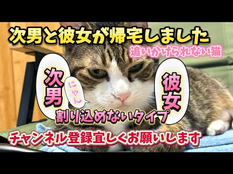 ドS猫の球太 次男帰宅で鳴きます✨