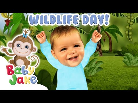 @BabyJakeofficial - 💚🐵 Wonderful Wildlife 🐵💚 | Wildlife Day 🌴 | Full Episode