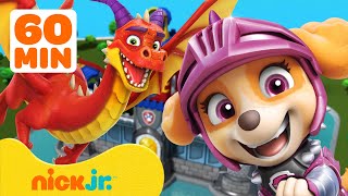 PAW Patrol Dragon Adventures & Rescues! 🐉 1 Hour | Nick Jr.