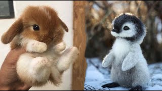 AWW Animals SOO Cute! Cute baby animals Videos Compilation cute moment of the animals #3