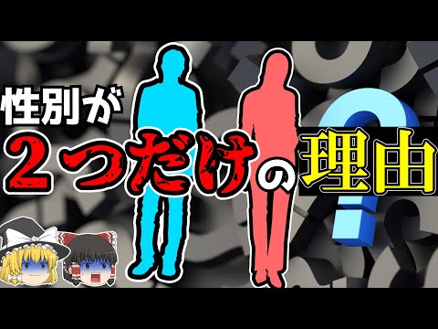 【雑学】もし性別が3つだとどうなる？【ゆっくり解説】